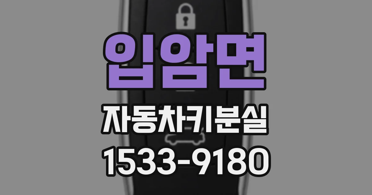 입암면 자동차키분실