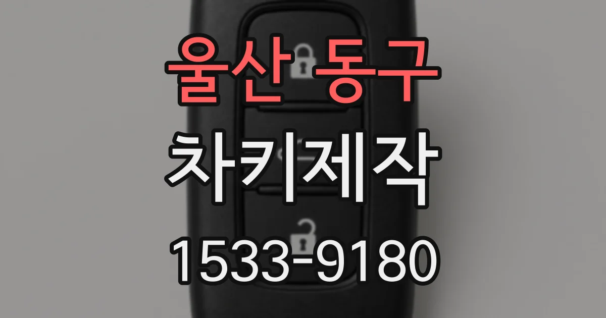 울산 동구 차키제작