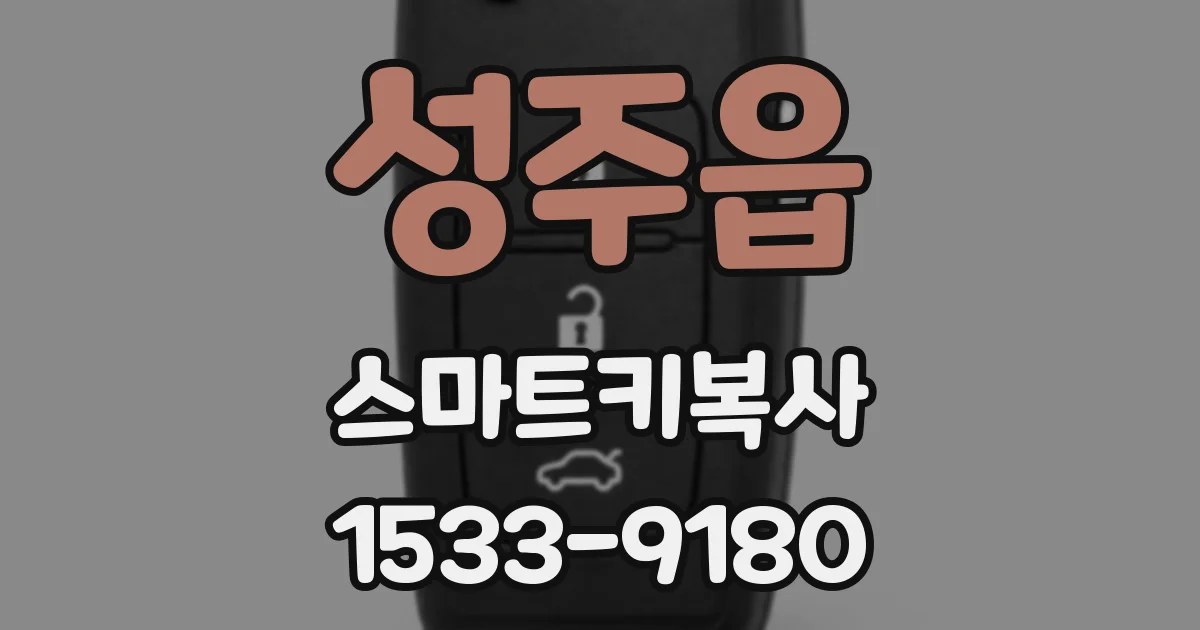 성주읍 스마트키복사