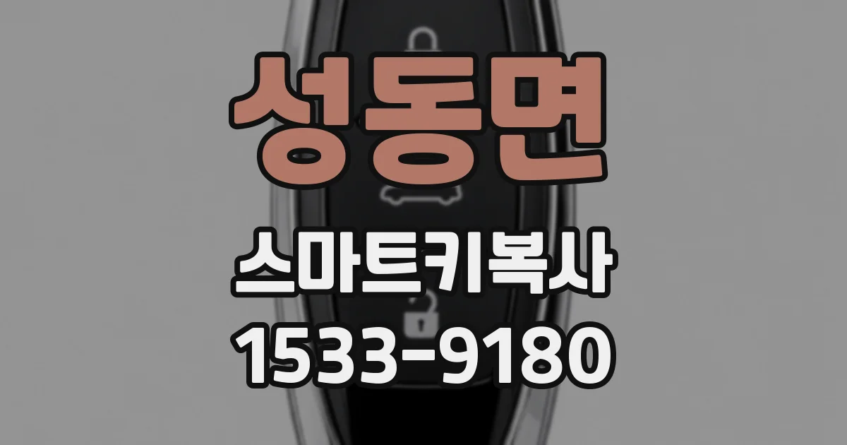 성동면 스마트키복사