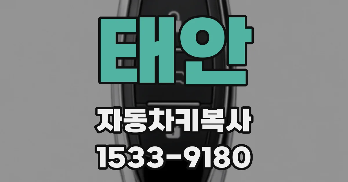 태안 자동차키복사