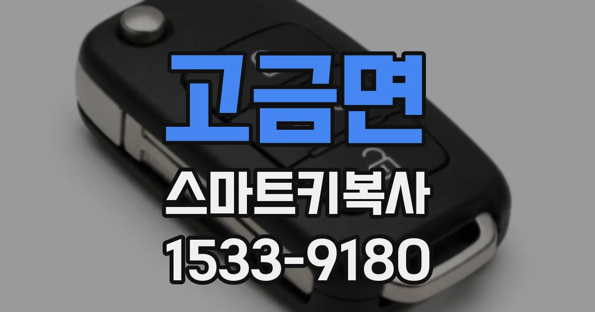 고금면 스마트키복사