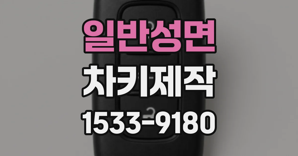 일반성면 차키제작
