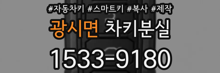 광시면 차키분실