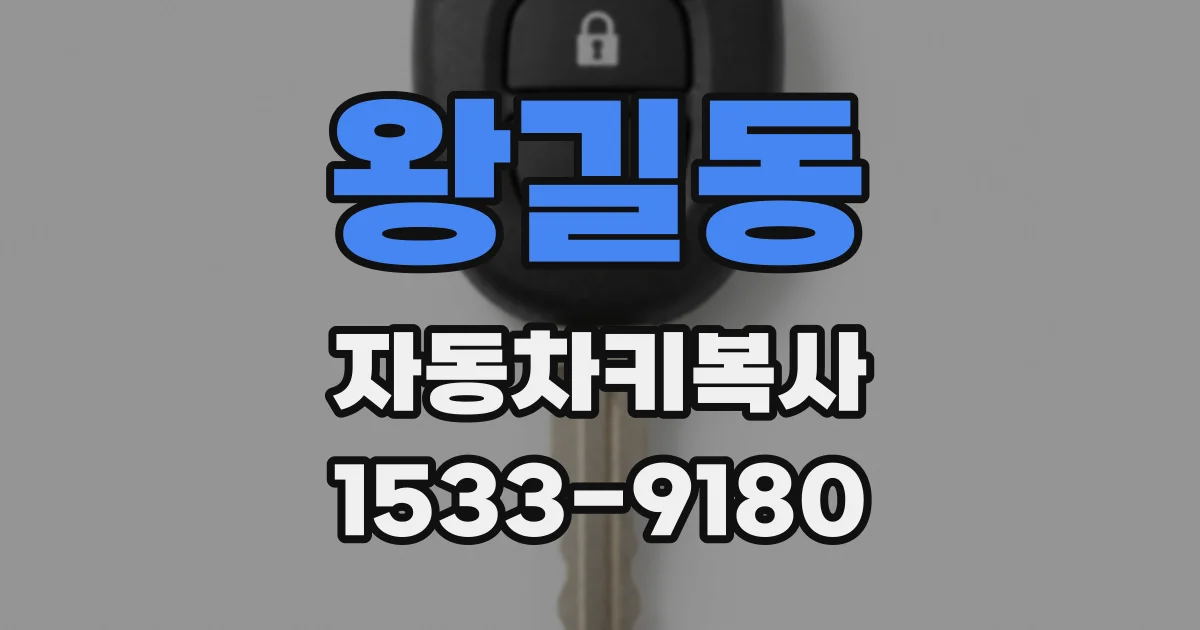 왕길동 자동차키복사