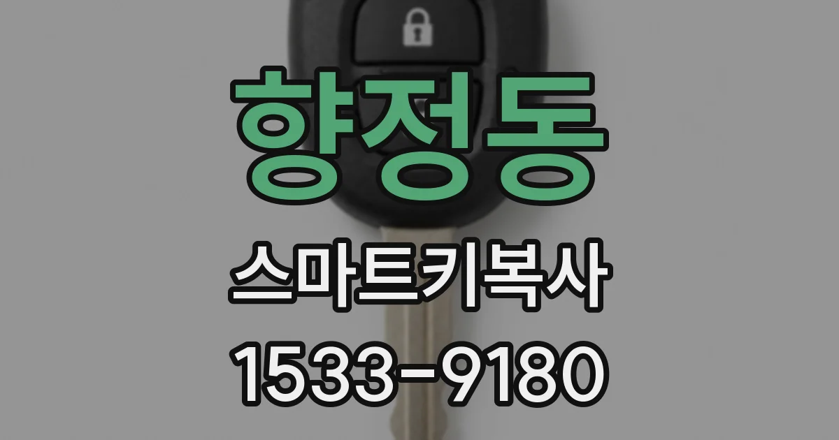 향정동 스마트키복사
