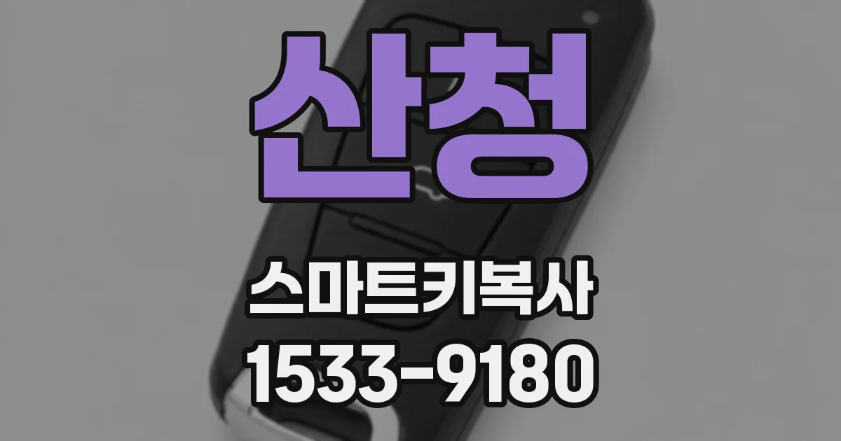 산청 스마트키복사