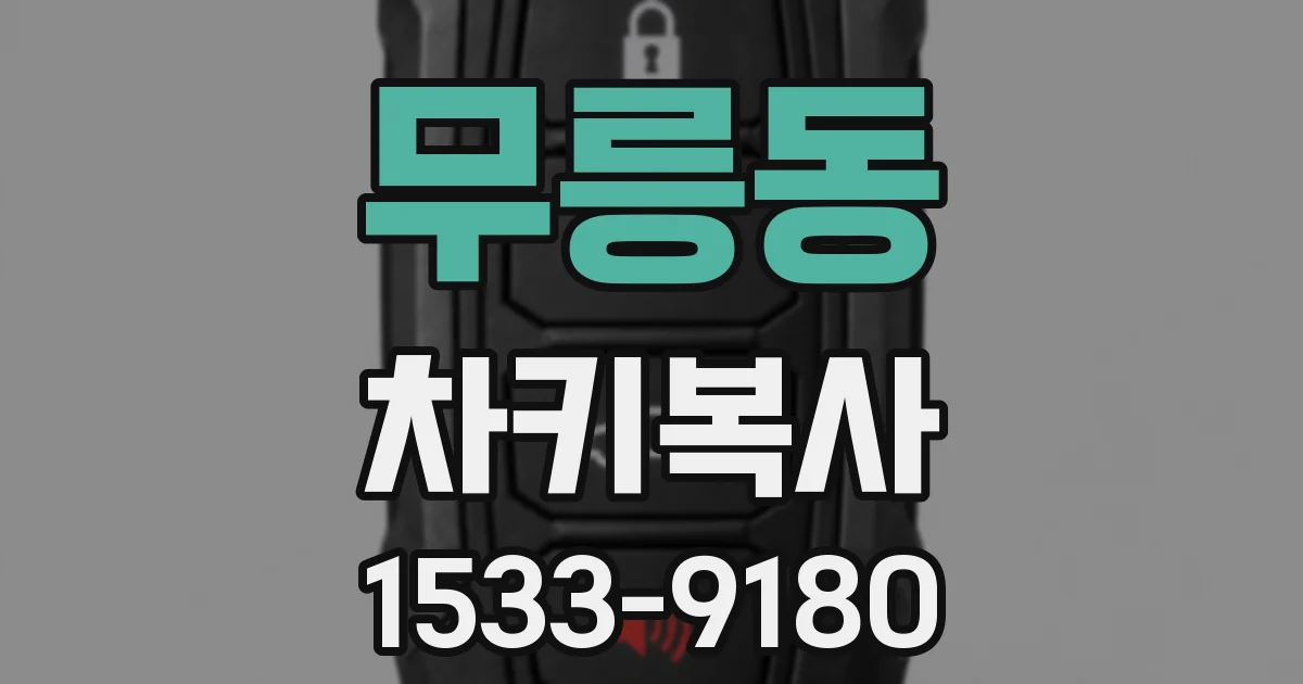무릉동 차키복사