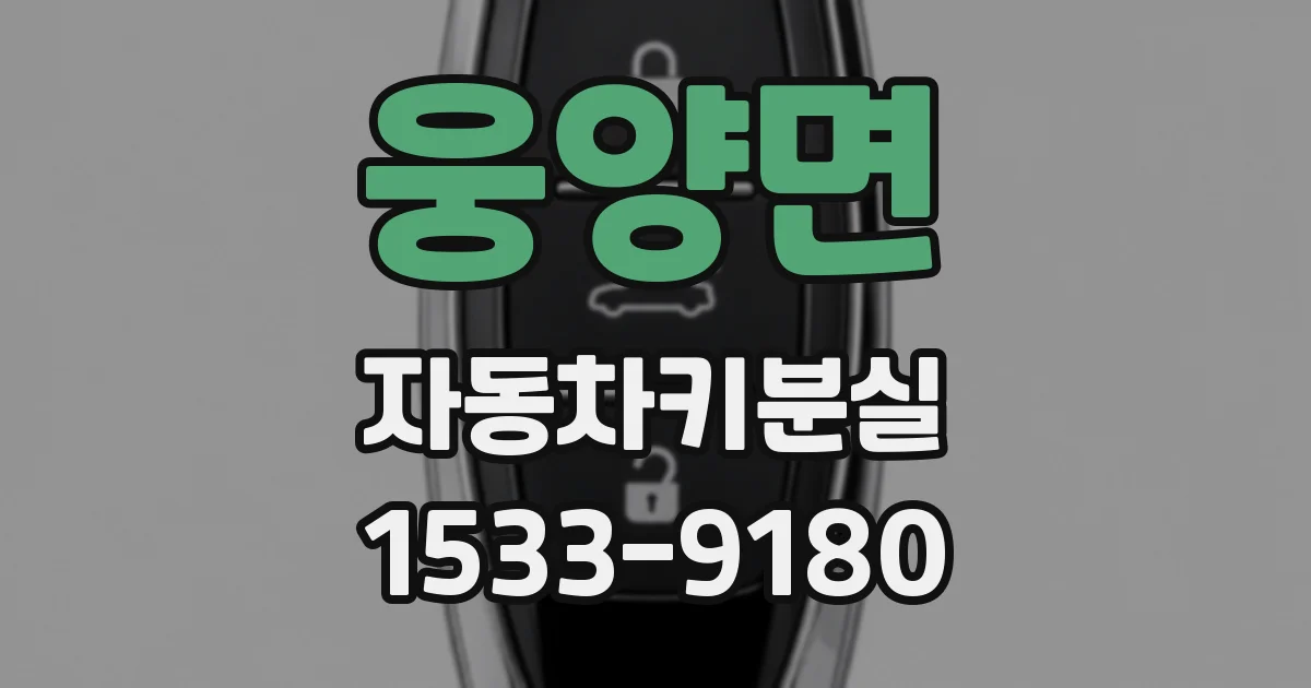 웅양면 자동차키분실