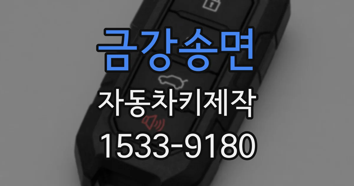 금강송면 자동차키제작