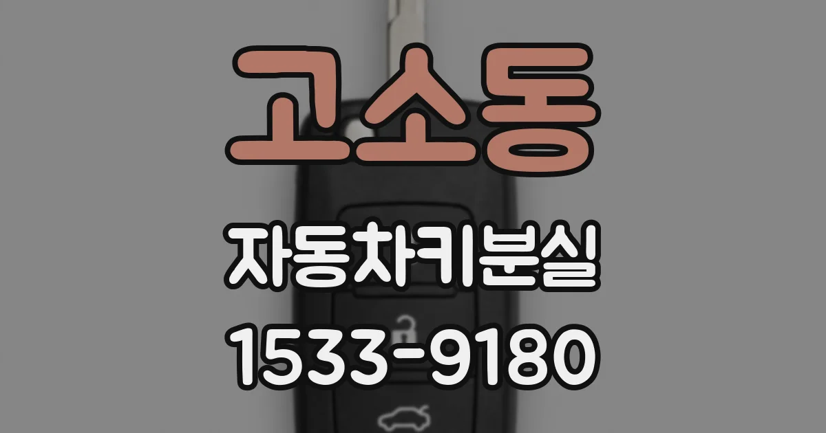고소동 자동차키분실