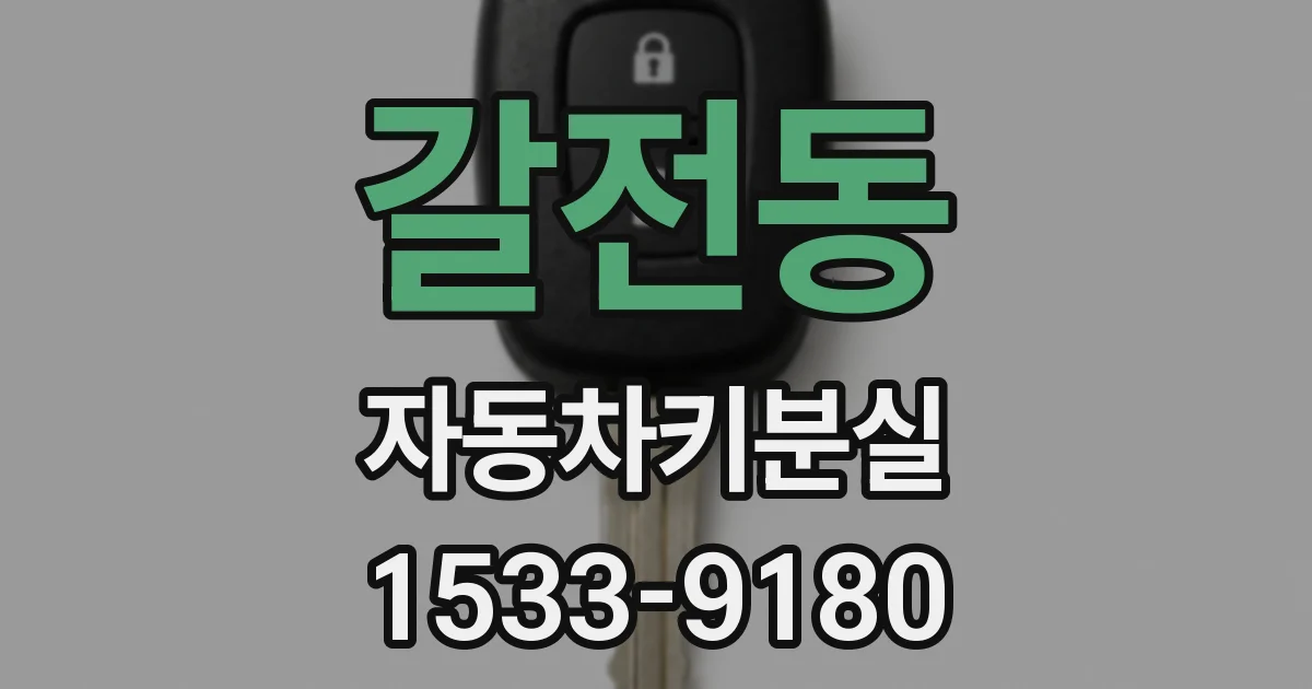갈전동 자동차키분실
