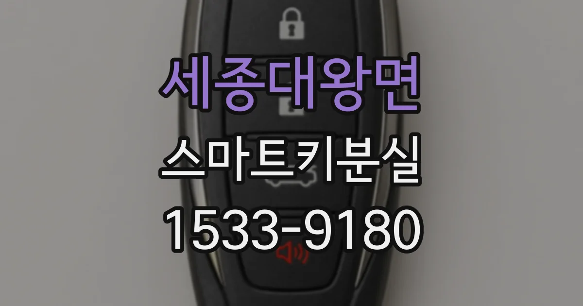 세종대왕면 스마트키분실
