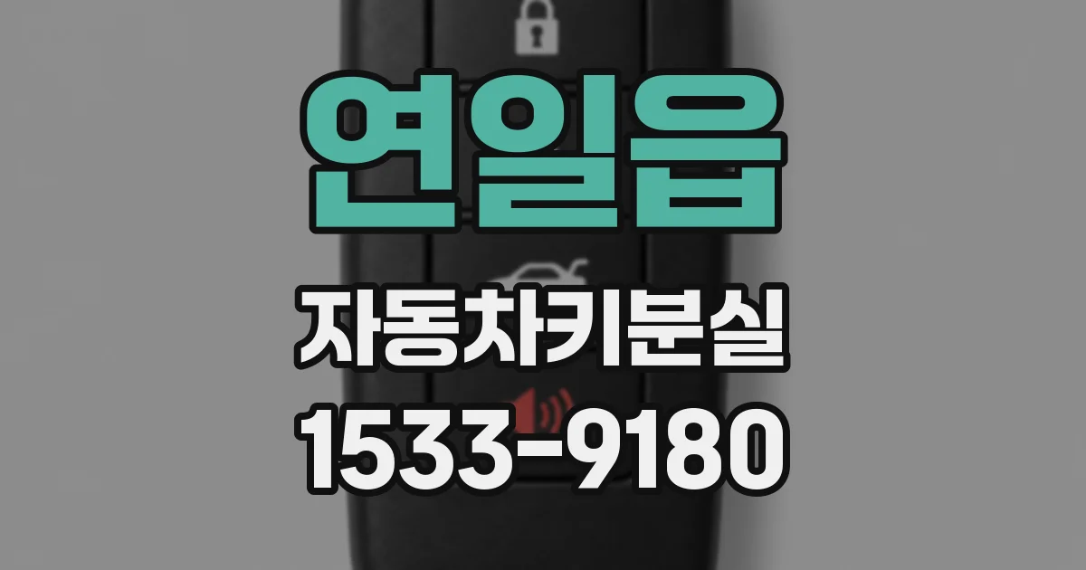 연일읍 자동차키분실