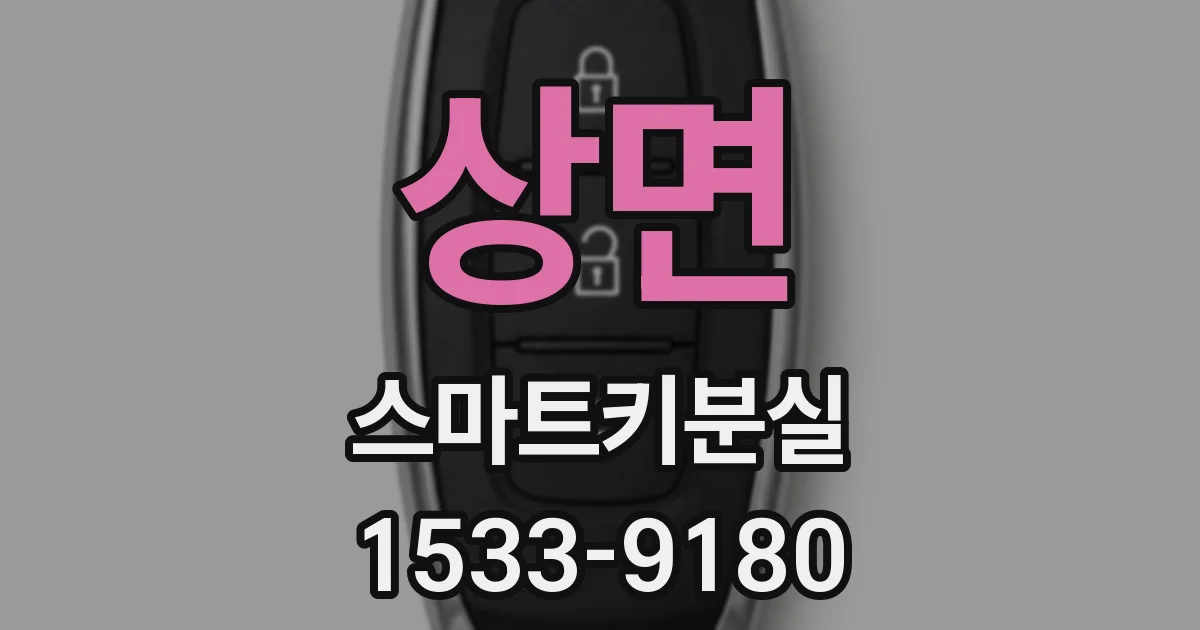 상면 스마트키분실
