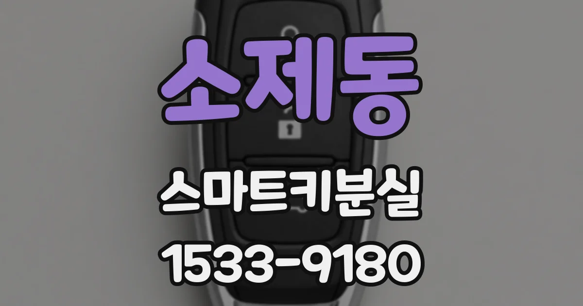 소제동 스마트키분실