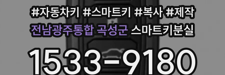 전남광주통합 곡성군 스마트키분실