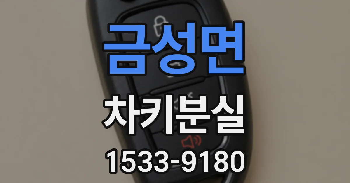 금성면 차키분실