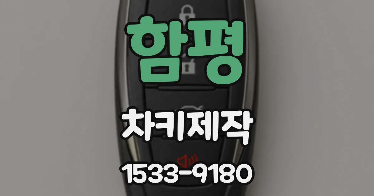 함평 차키제작