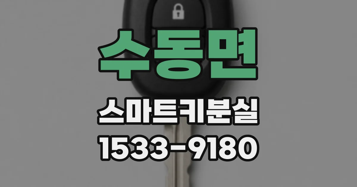 수동면 스마트키분실