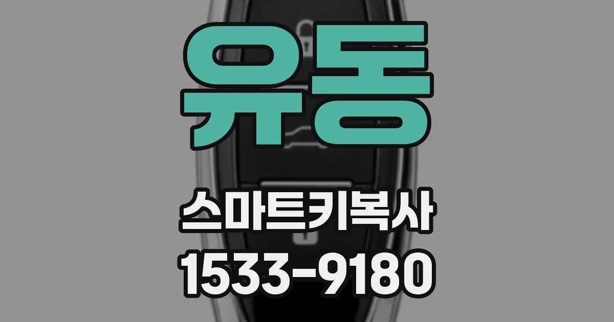 유동 스마트키복사