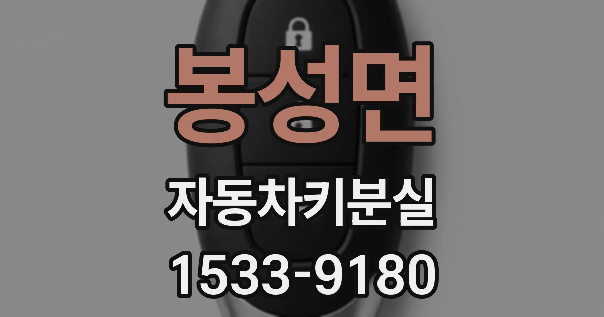 봉성면 자동차키분실