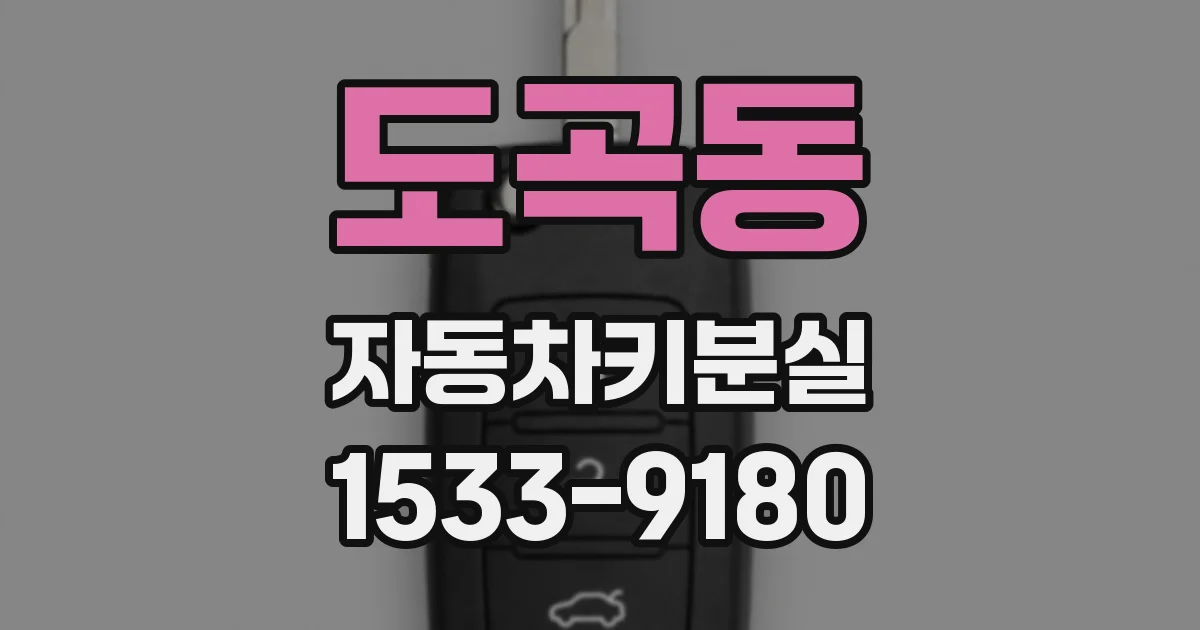도곡동 자동차키분실