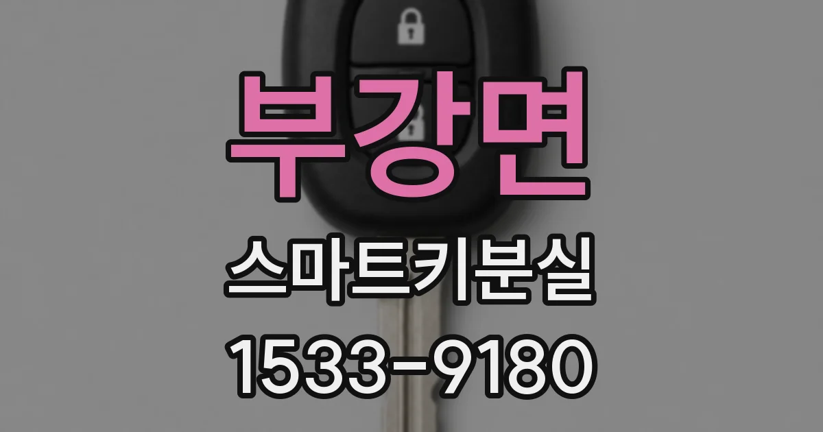 부강면 스마트키분실