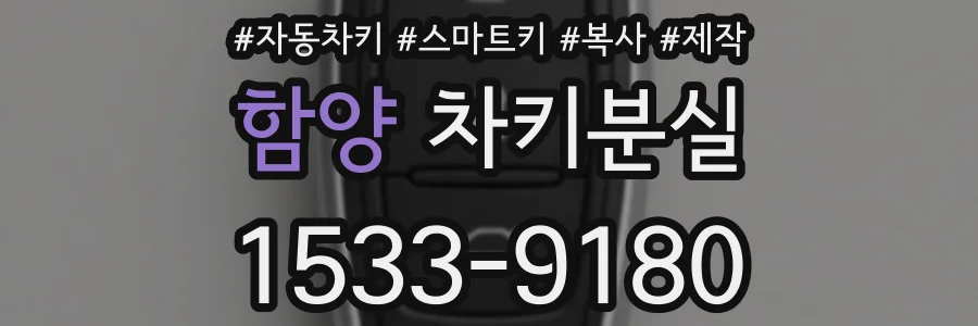 함양 차키분실