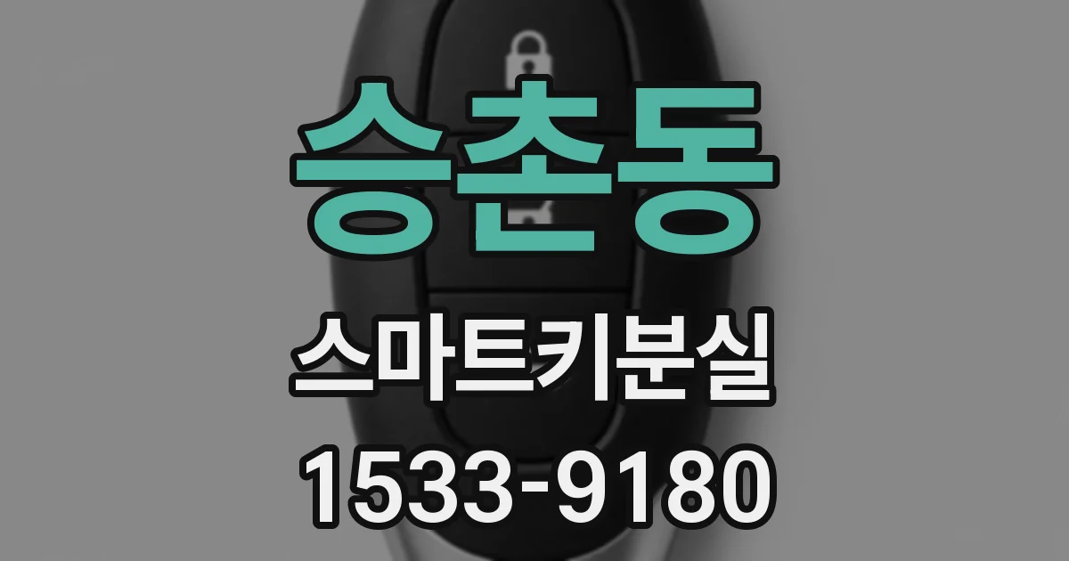 승촌동 스마트키분실