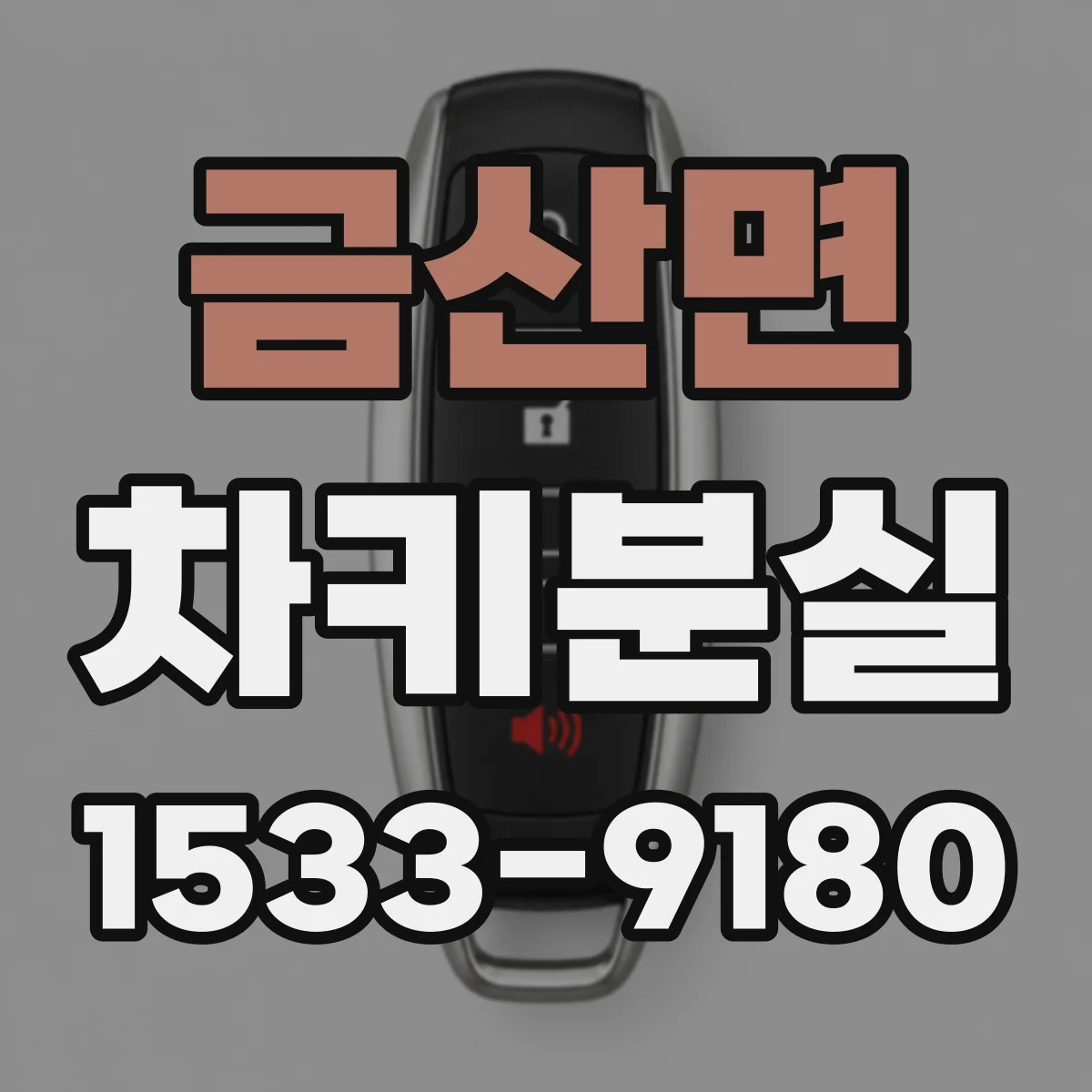 금산면 차키분실