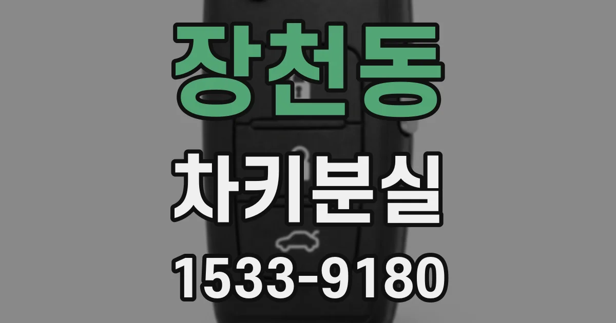 장천동 차키분실