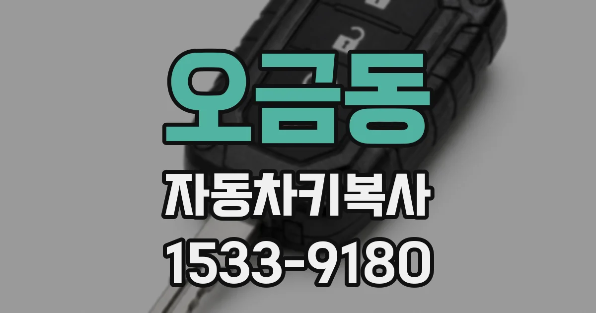 오금동 자동차키복사