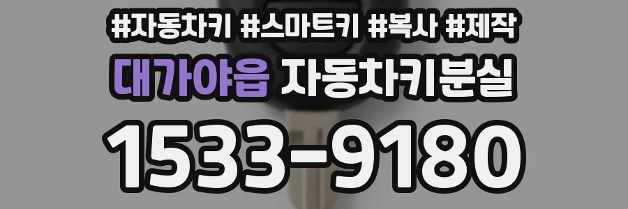 대가야읍 자동차키분실
