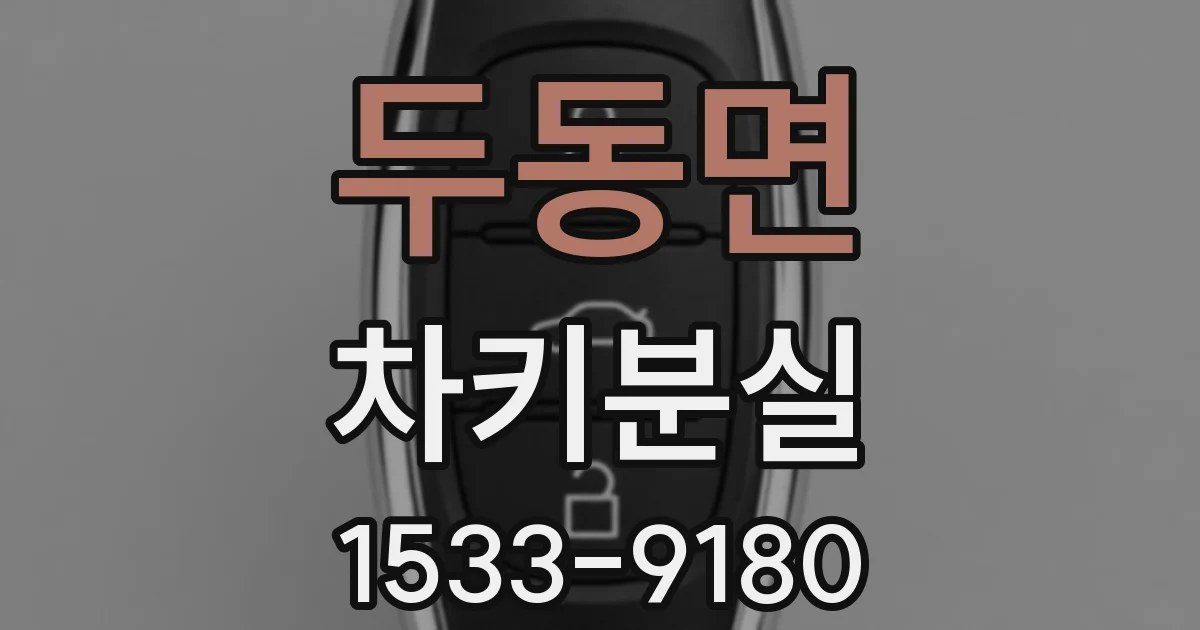 두동면 차키분실