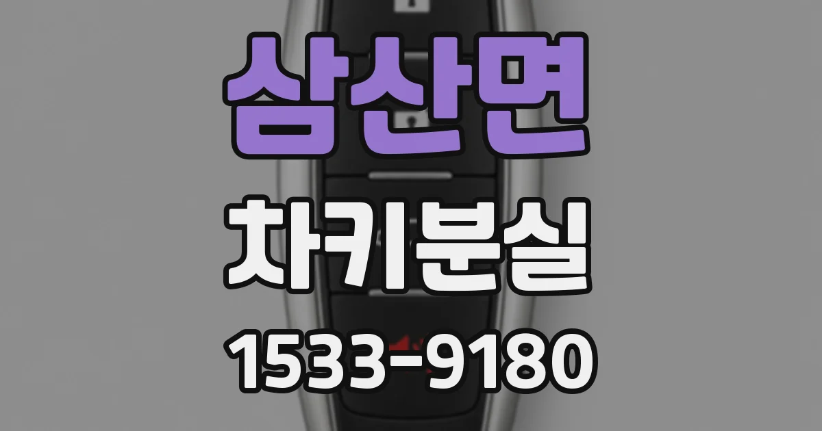 삼산면 차키분실