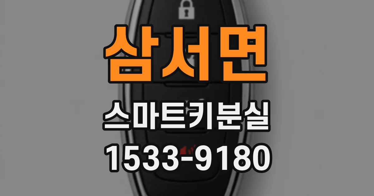 삼서면 스마트키분실
