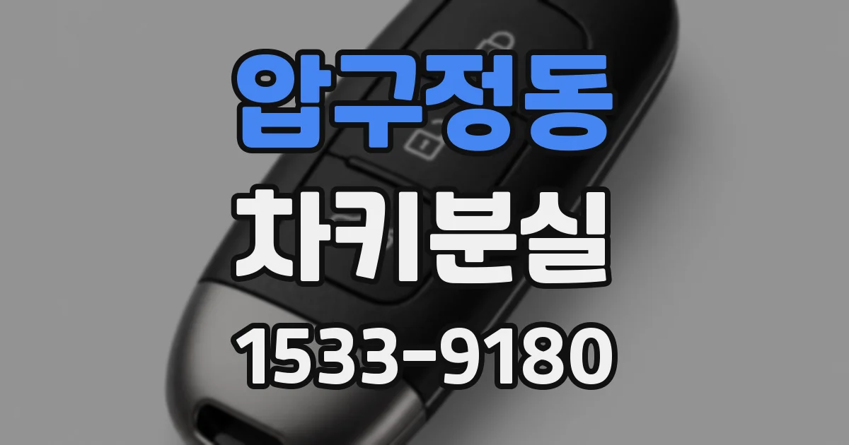 압구정동 차키분실