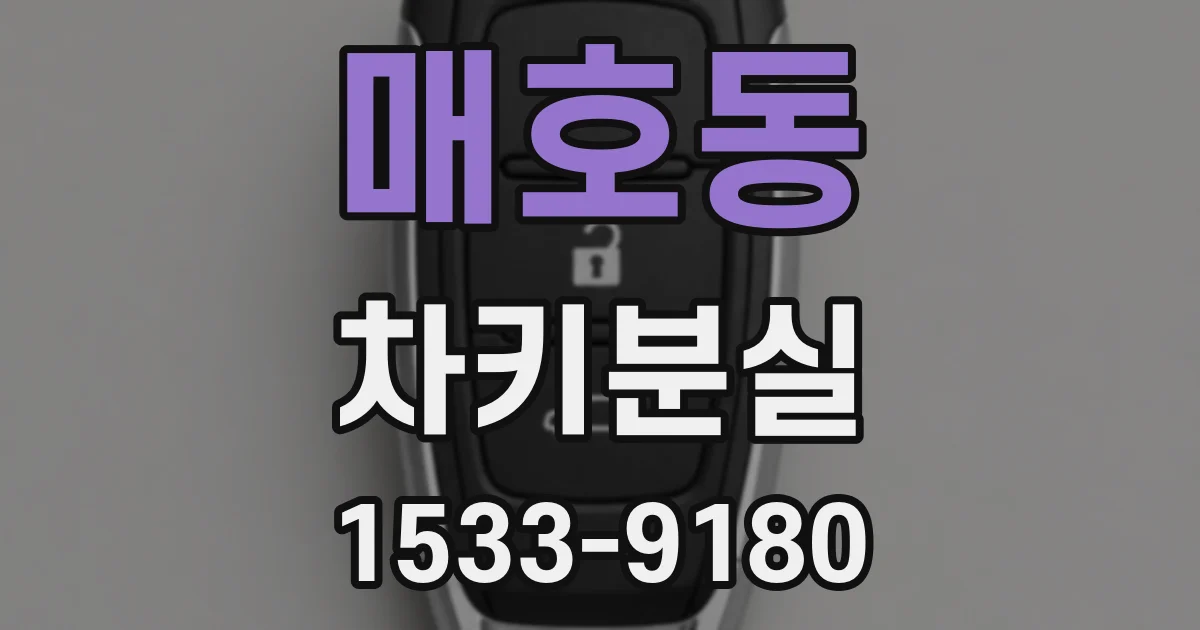 매호동 차키분실