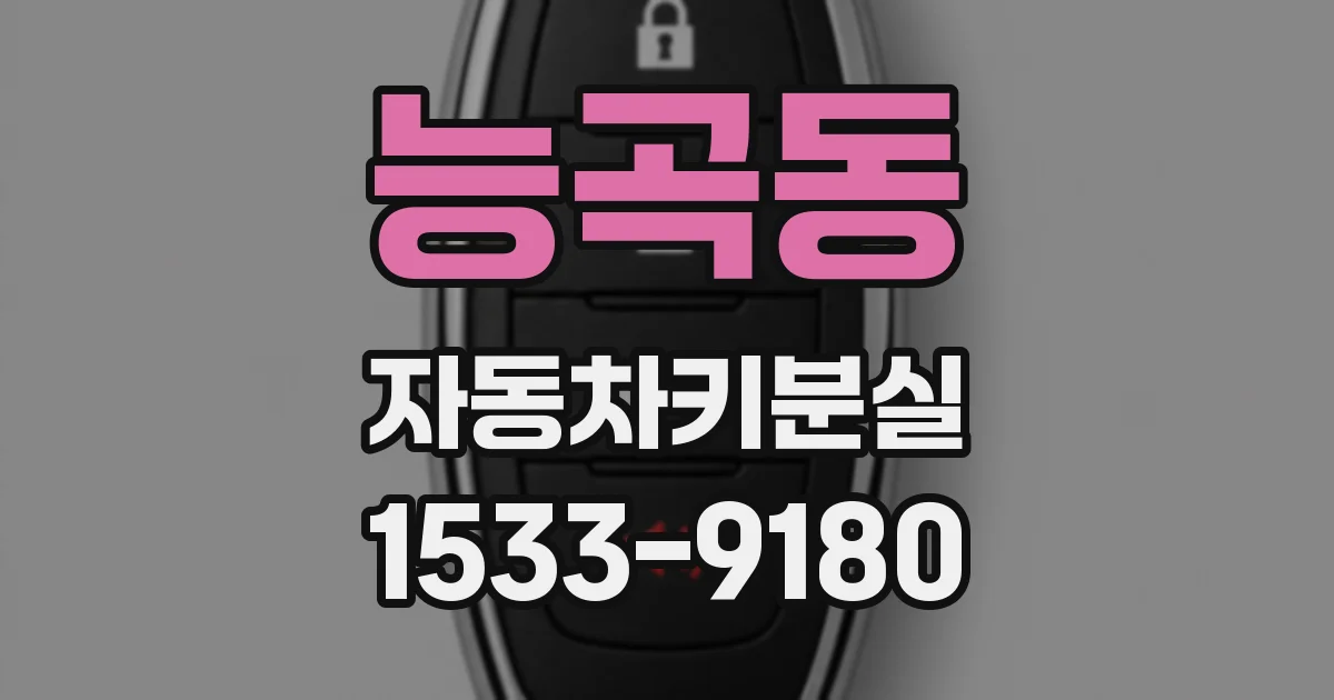 능곡동 자동차키분실