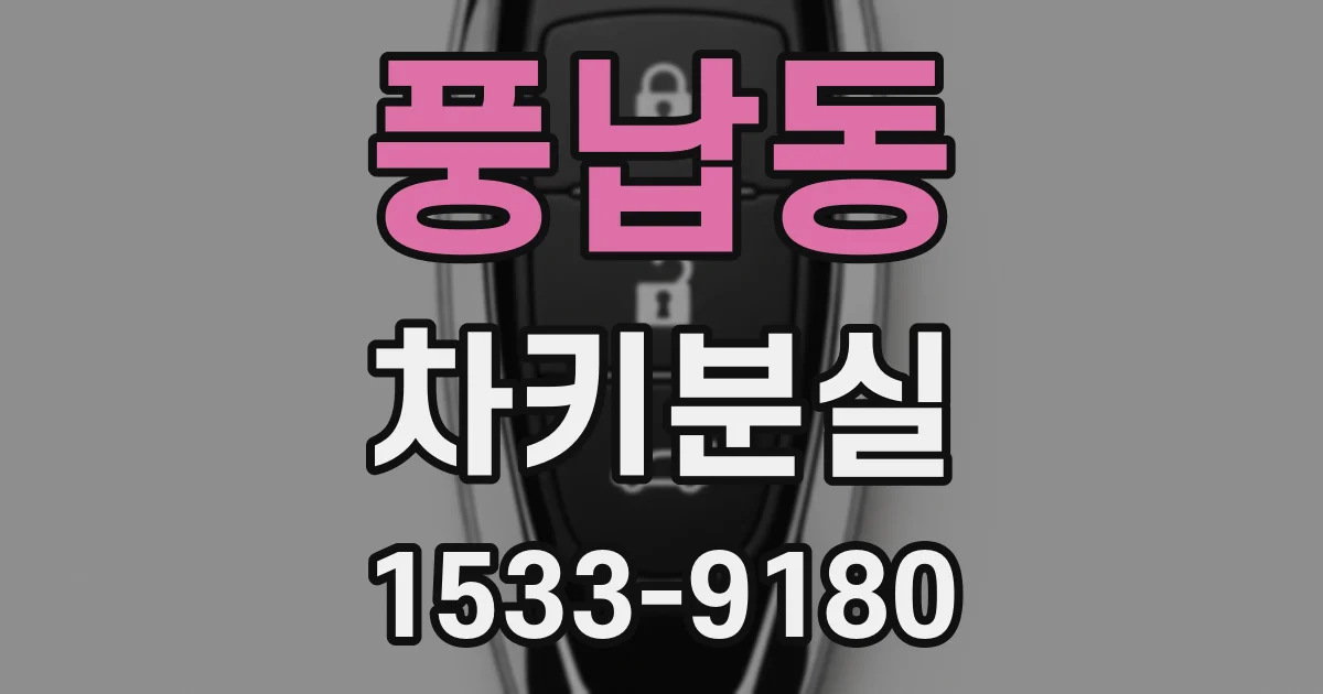 풍납동 차키분실