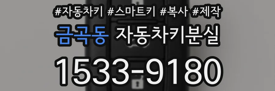 금곡동 자동차키분실