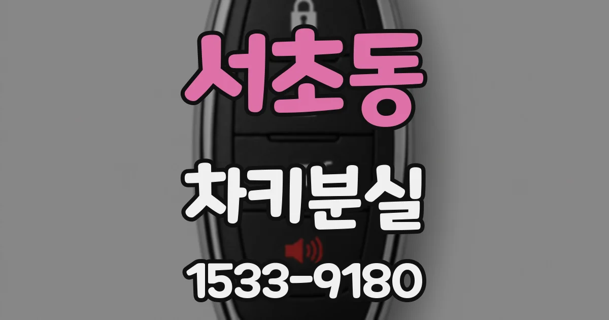 서초동 차키분실