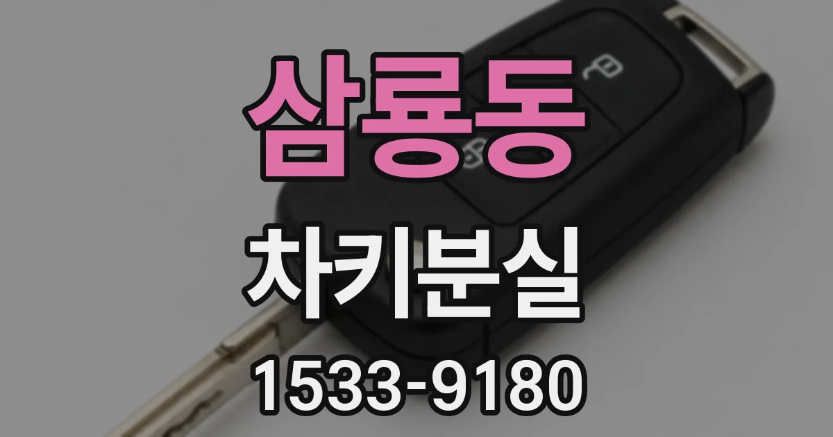 삼룡동 차키분실