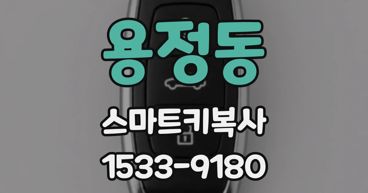 용정동 스마트키복사