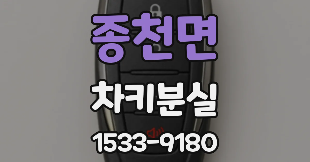 종천면 차키분실