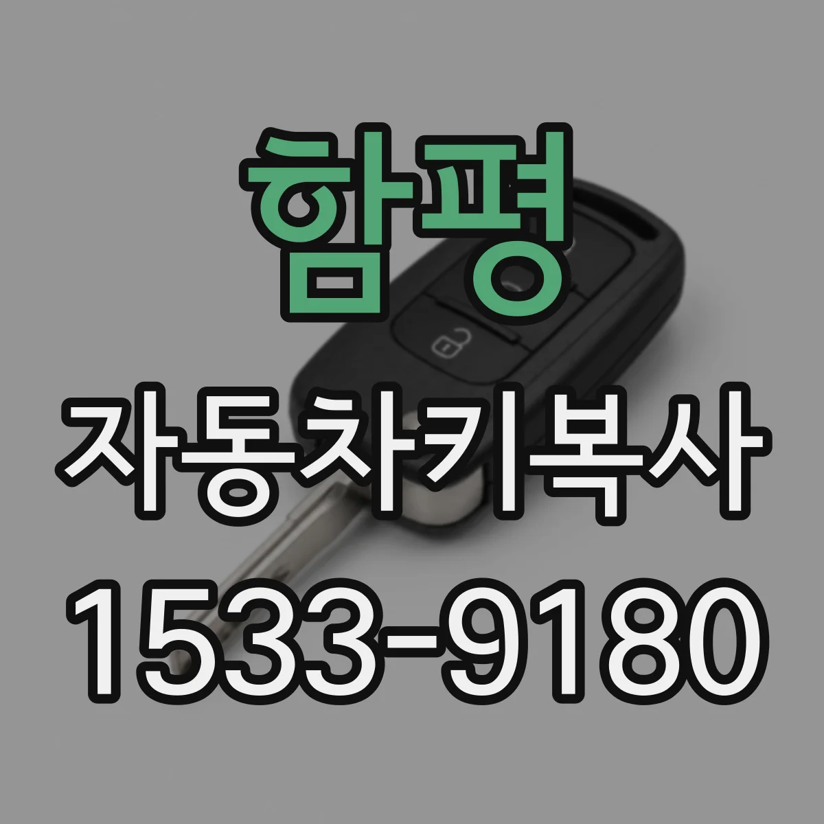 함평 자동차키복사