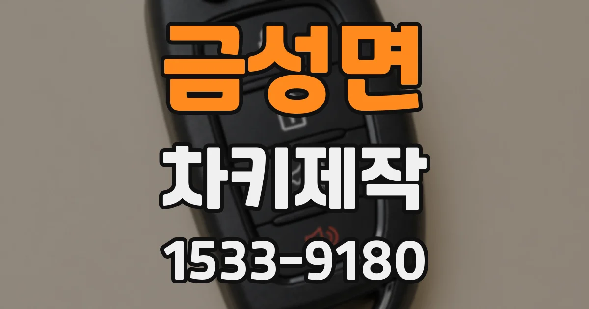 금성면 차키제작