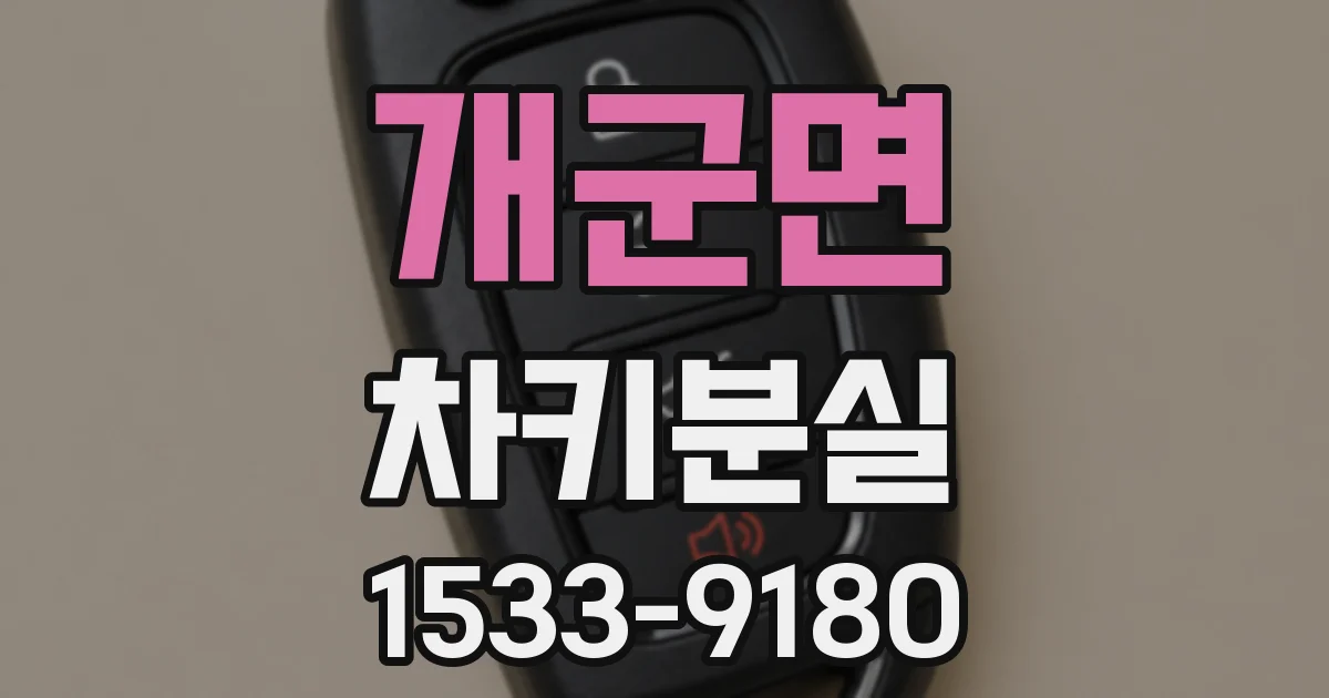 개군면 차키분실