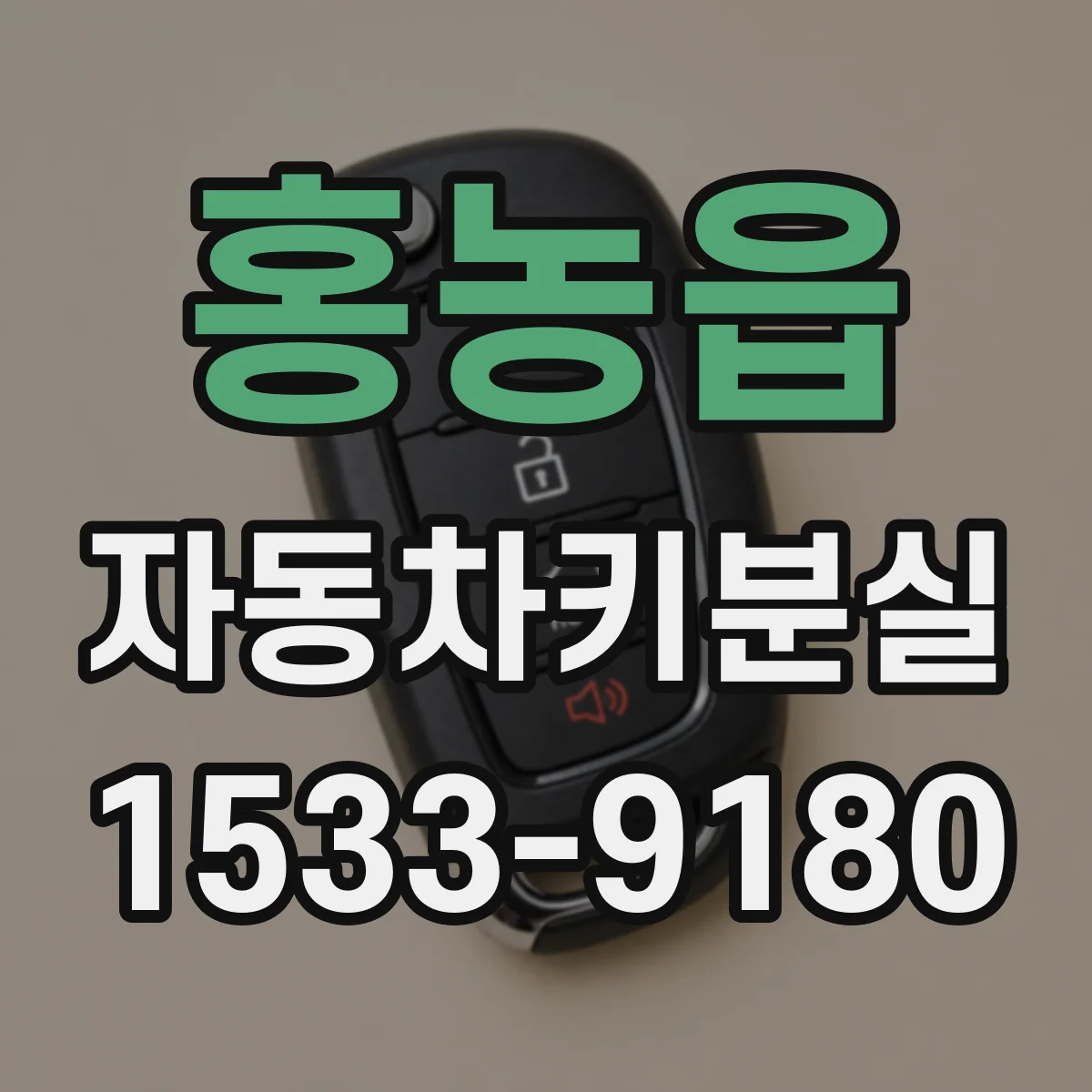 홍농읍 자동차키분실